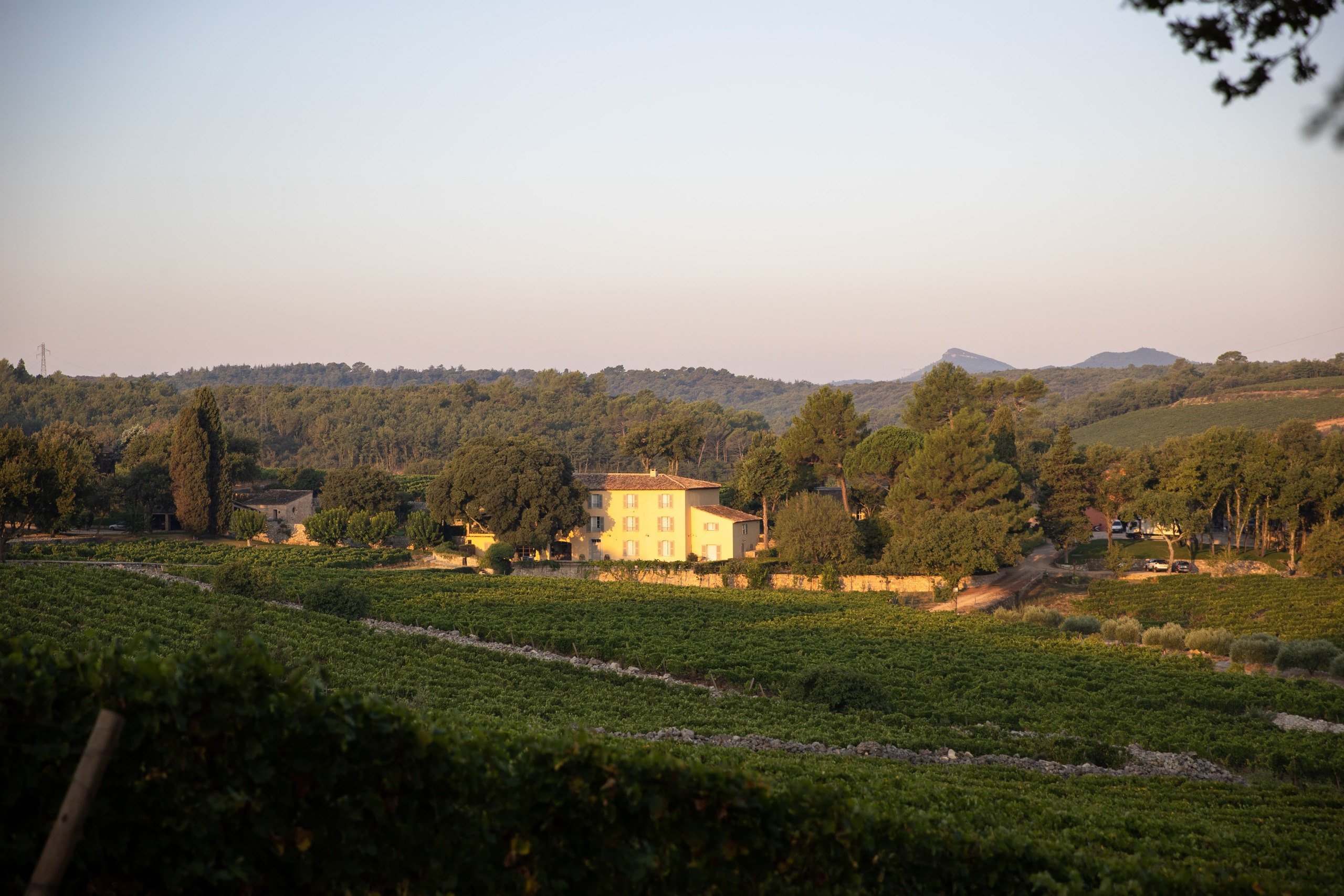 Tony Parker Joins Forces with Michel Reybier - Chateau La Mascaronne