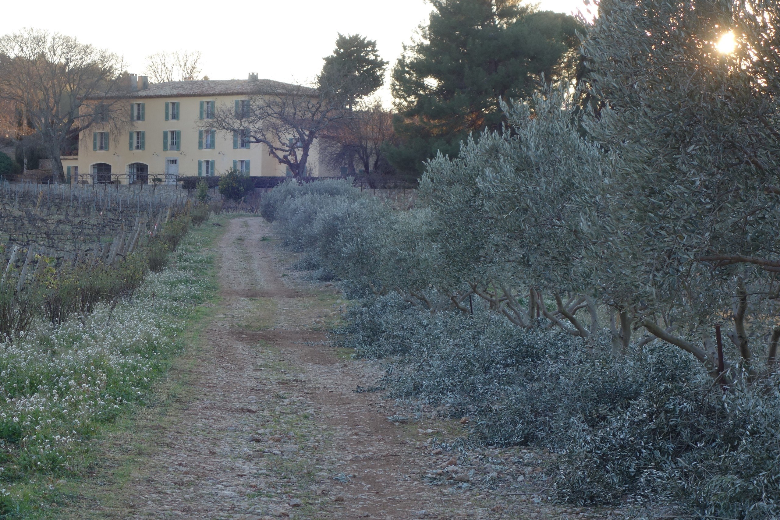 Winter at La Mascaronne - Chateau La Mascaronne