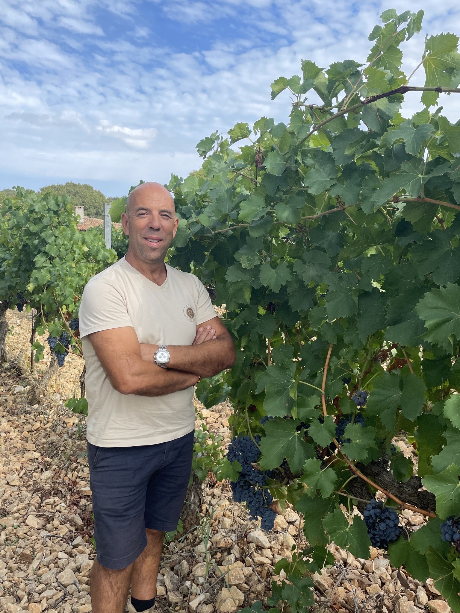 Le goût du terroir - Chateau La Mascaronne