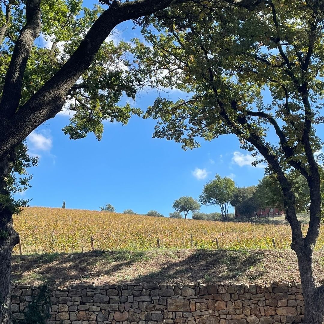 Le terroir - Chateau La Mascaronne