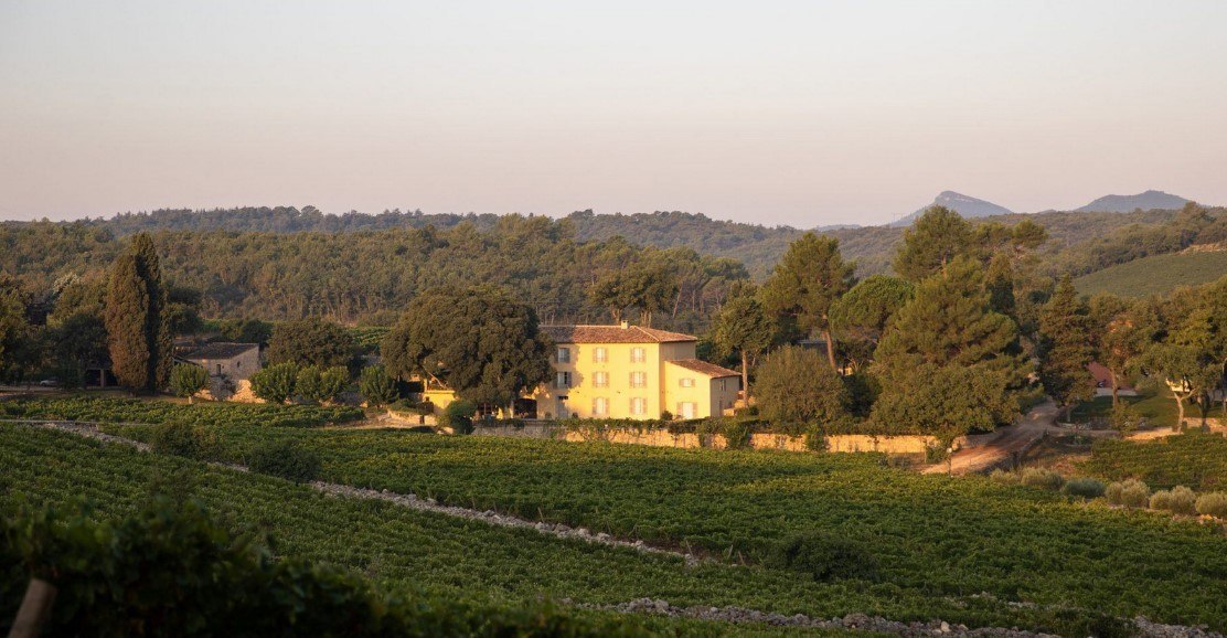 «Dans le vin, je ne crois pas aux grandes structures» : à La Mascaronne, l’art de faire peu mais bien par l’entrepreneur Michel Reybier - Chateau La Mascaronne